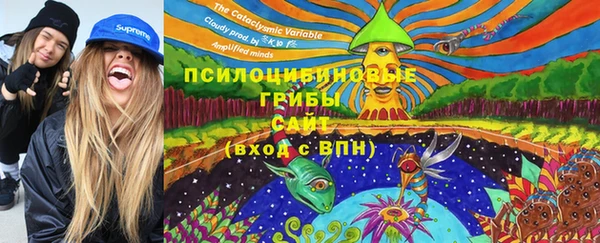 ПСИЛОЦИБИНОВЫЕ ГРИБЫ Армянск