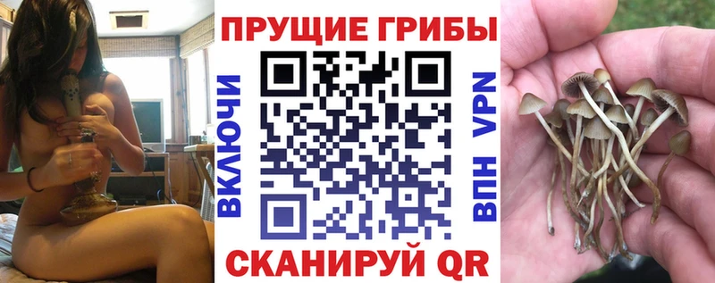 Галлюциногенные грибы прущие грибы  гидра ONION  Александровск-Сахалинский 